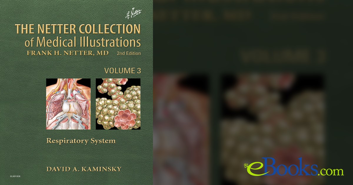Netter Collection of Medical Illustrations: Respiratory System E-Book