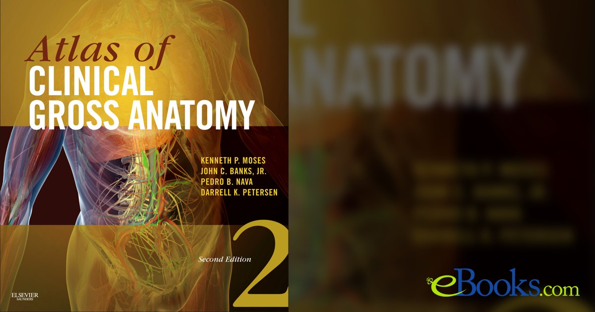 Atlas Of Clinical Gross Anatomy Atlas Of Anatomy (Thieme Anatomy)