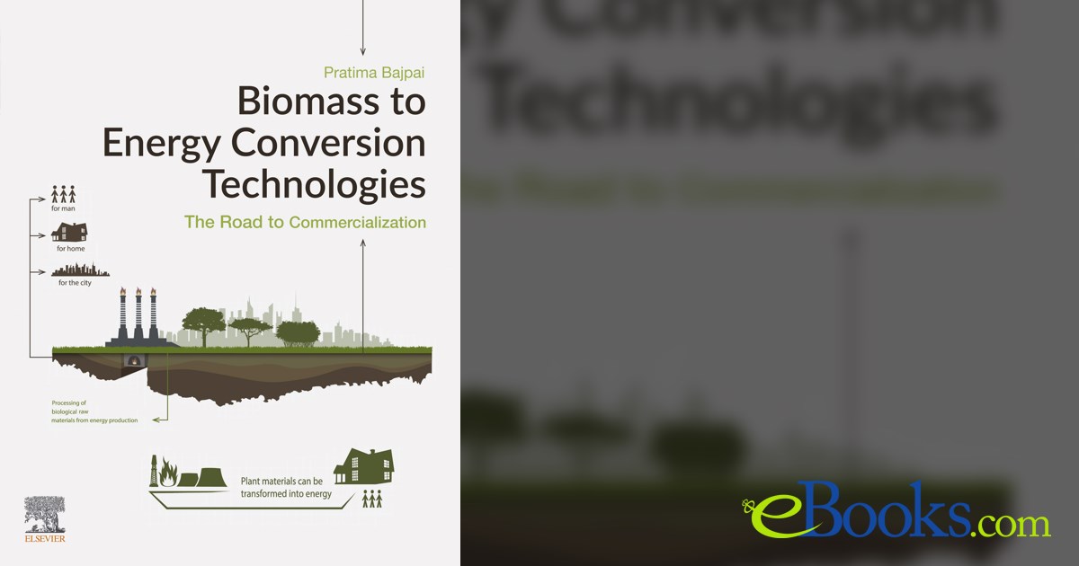 Biomass to Energy Conversion Technologies