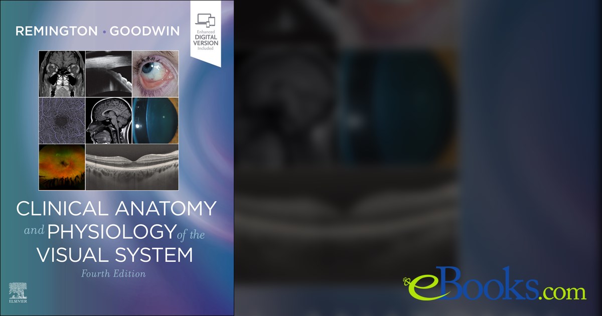 Clinical Anatomy and Physiology of the Visual System E-Book
