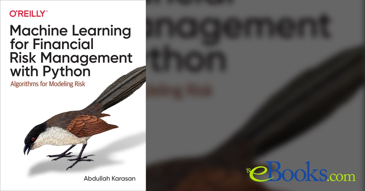 Python Investment Risk Management Books Machine Learning for Financial Risk Management with Python
