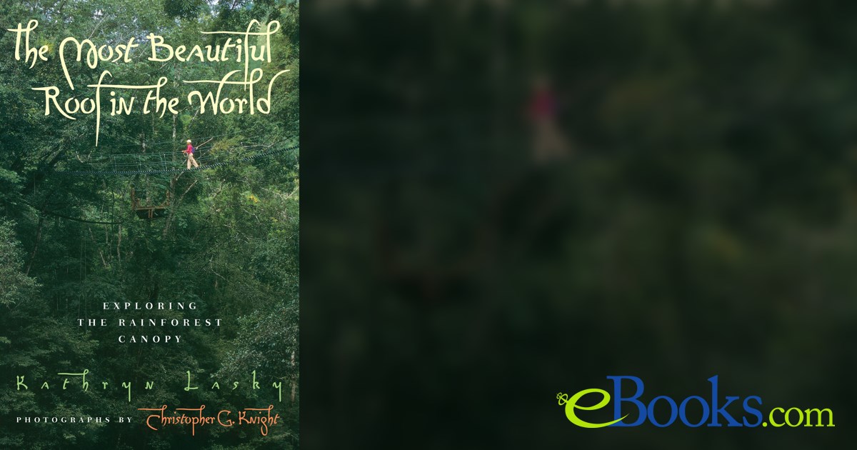 The Most Beautiful Roof in the World by Kathryn Lasky (ebook)