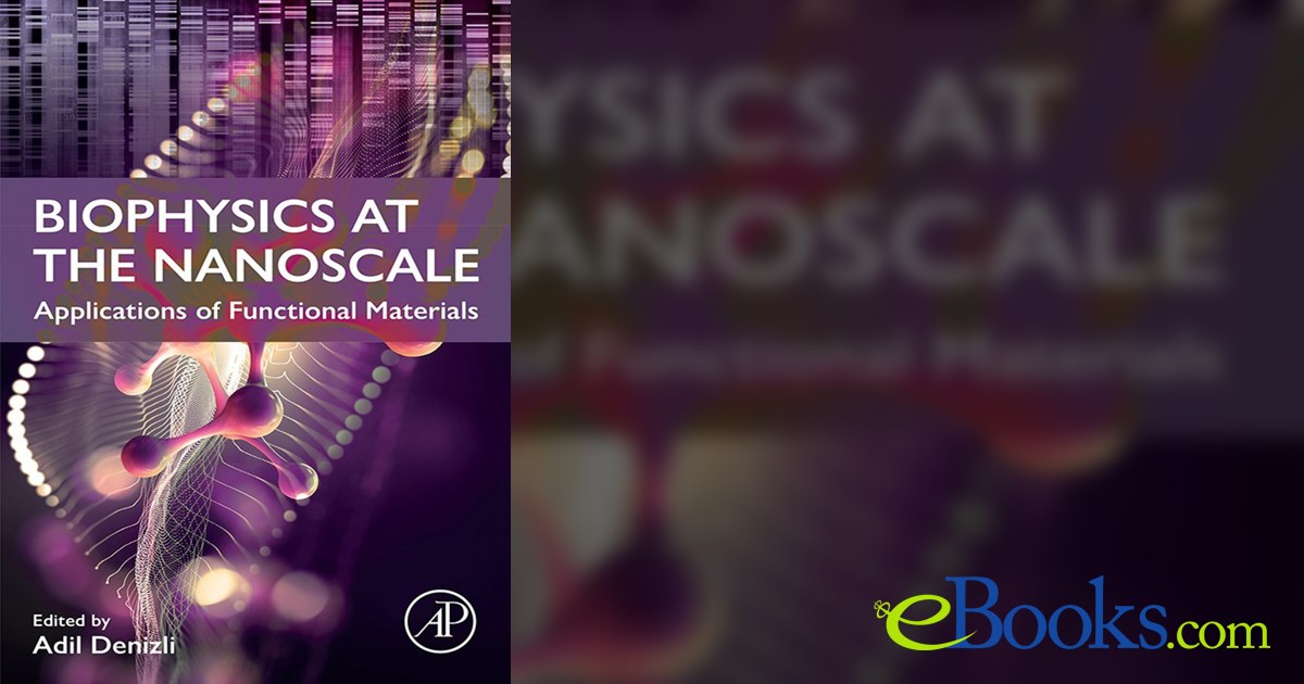 Biophysics at the Nanoscale by Adil Denizli PhD (ebook)