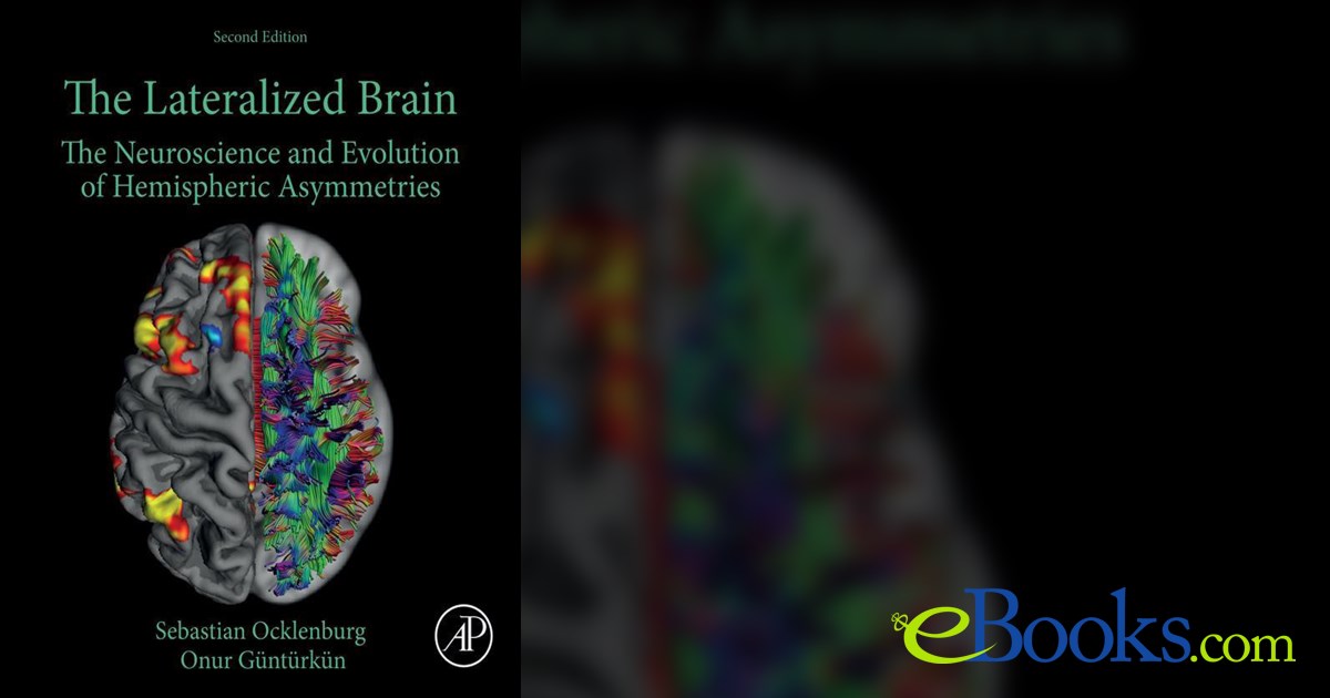 The Lateralized Brain (2nd ed.) by Sebastian Ocklenburg (ebook)
