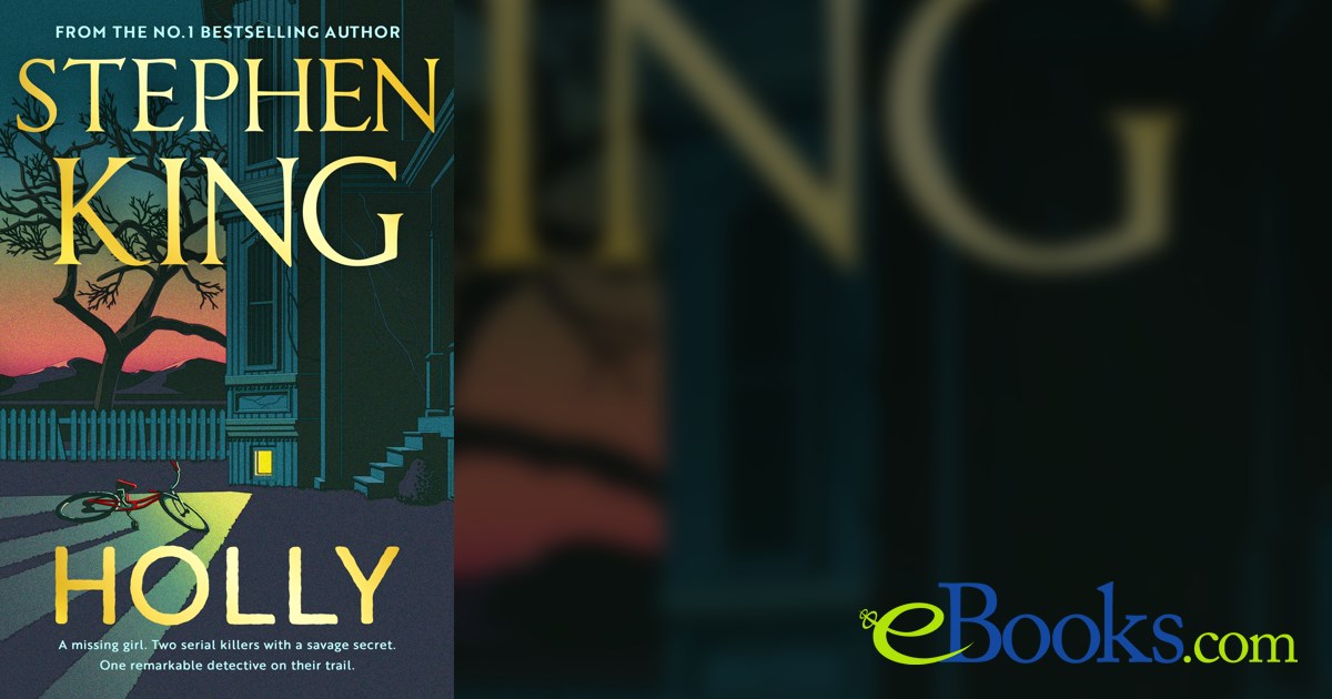 Holly By Stephen King – Hardcover 2023, Good Condition Thriller/Horror Novel