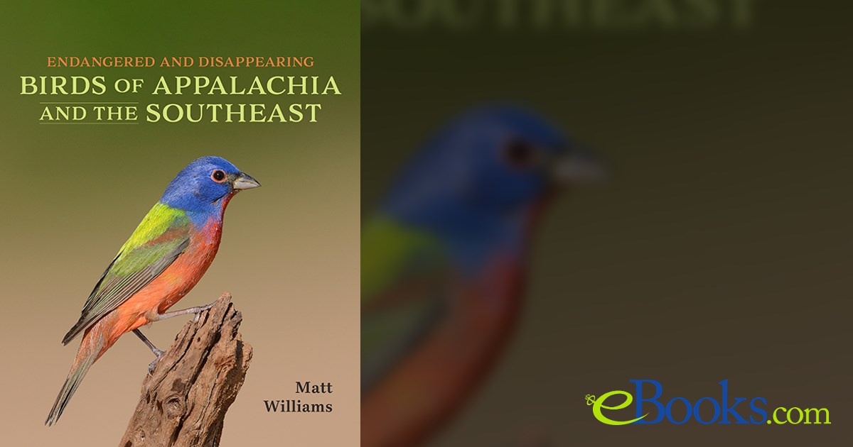 Endangered and Disappearing Birds of Appalachia and the Southeast