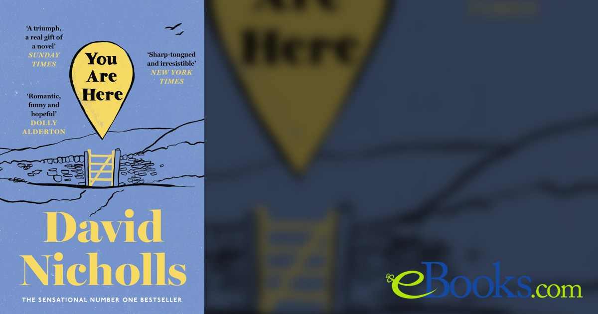 You Are Here by David Nicholls (ebook)