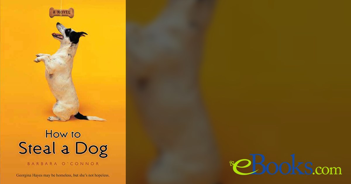 How to Steal a Dog by Barbara O'Connor (ebook)