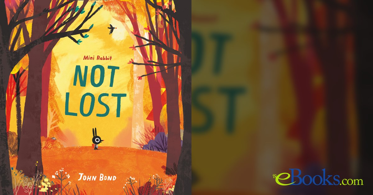 Mini Rabbit Not Lost by John Bond (ebook)