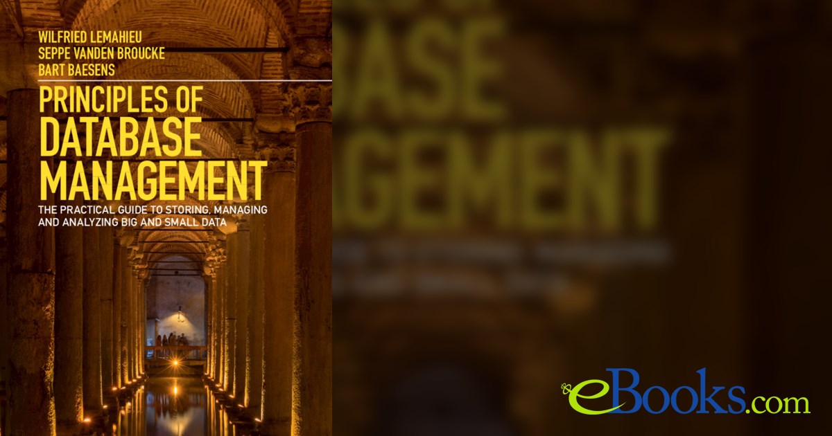 PRINCIPLES OF DATABASE MANAGEMENT LEMAHIEU visual data 3