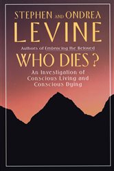 Book cover: Who Dies?, by Stephen Levine (preview)