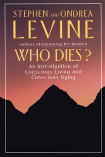 Book cover: Who Dies?, by Stephen Levine (preview)