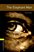 lazy-nofade placeholder