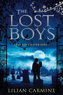 Book cover: The Lost Boys (Book 1 of Lost Boys) by Lilian Carmine (preview)