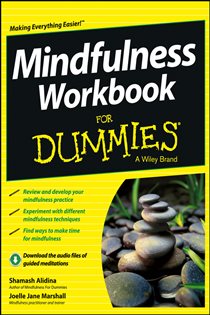 Book cover: Mindfulness Workbook For Dummies, by Shamash Alidina (preview)