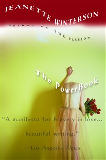 Book cover: The PowerBook, by Jeanette Winterson (preview)