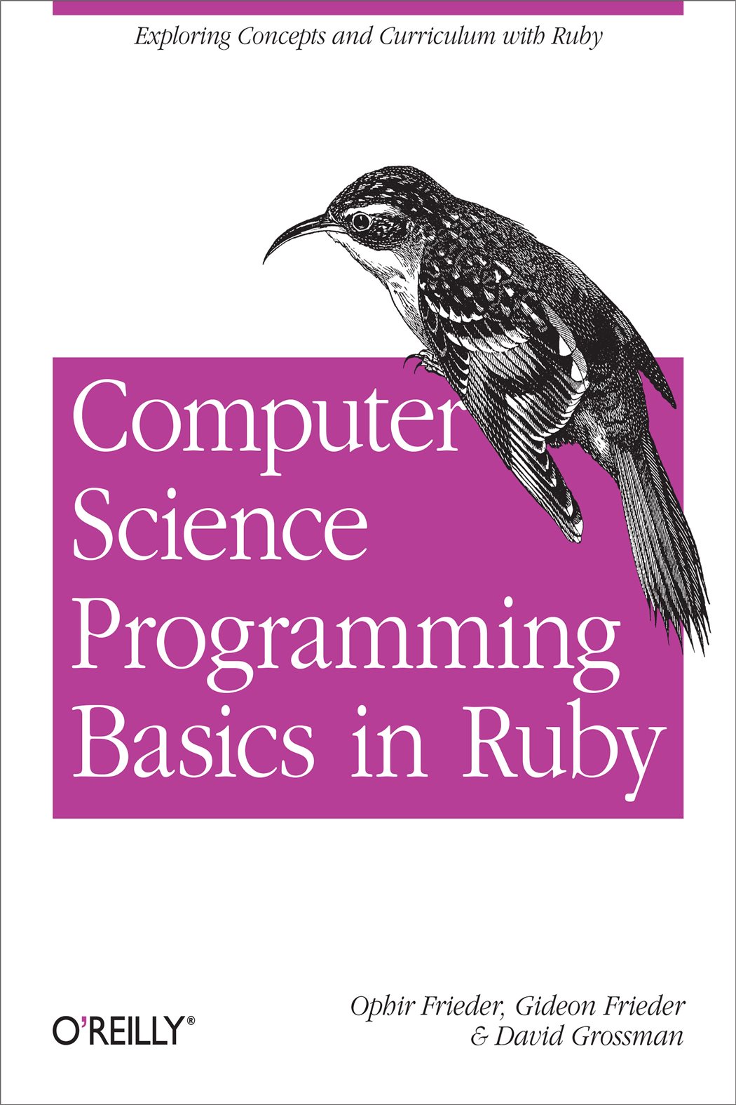 Computer Science Programming Basics in Ruby by Ophir Frieder (ebook)