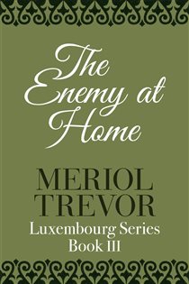 Book cover: The Enemy At Home, by Meriol Trevor (preview)