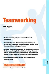 Book cover: Teamworking, by Ann Rippin (preview)
