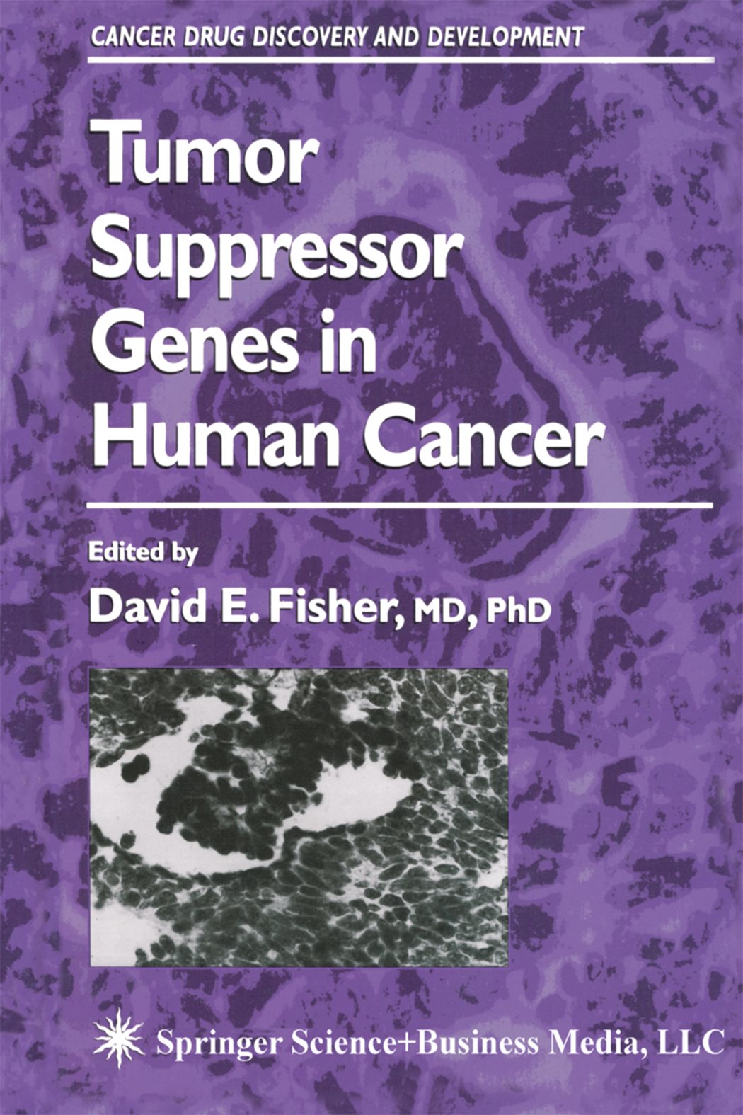 Tumor Suppressor Genes in Human Cancer by David E. Fisher (ebook)
