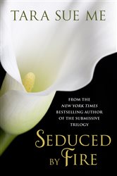 Book cover: Seduced By Fire: A Partners In Play Novel, by Tara Sue Me (preview)