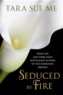 Book cover: Seduced By Fire: A Partners In Play Novel, by Tara Sue Me (preview)