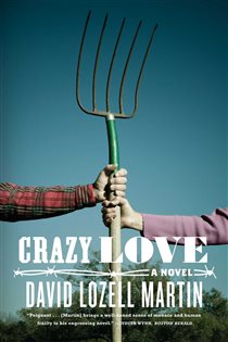 Book cover: Crazy Love, by David Lozell Martin (preview)