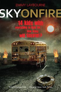 Book cover: Sky on Fire, by Emmy Laybourne (preview)