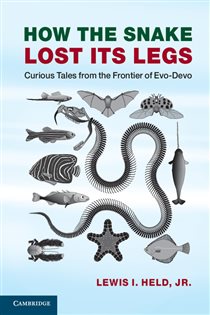 Book cover: How the Snake Lost its Legs, by Held, Jr, Lewis I. (preview)