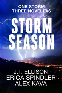 Book cover: Storm Season, by Alex Kava (preview)