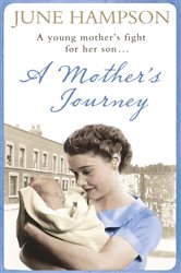 A Mother&#x27;s Journey