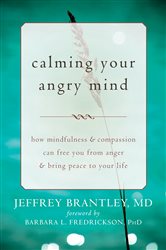 Book cover: Calming Your Angry Mind, by Jeffrey Brantley (preview)