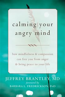 Book cover: Calming Your Angry Mind, by Jeffrey Brantley (preview)
