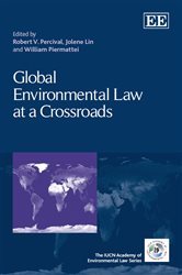 Global Environmental Law at a Crossroads