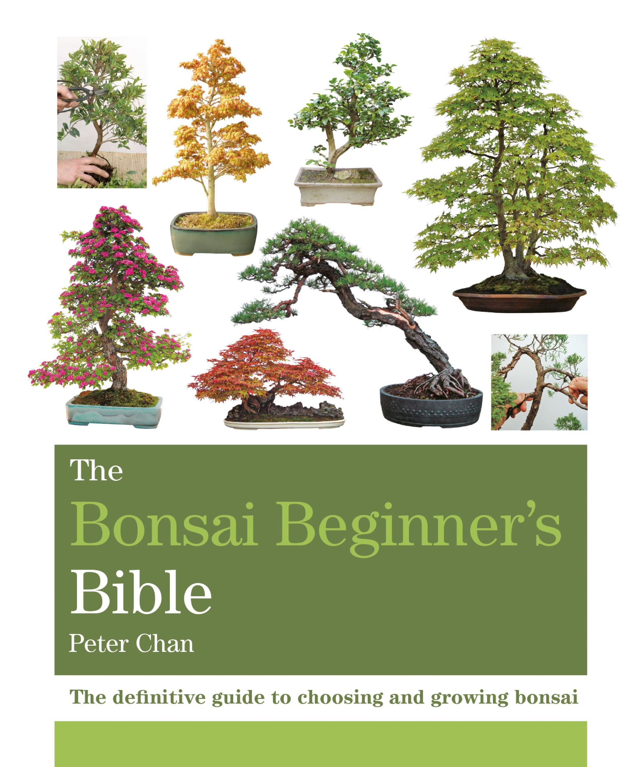 The Bonsai Bible by Peter Chan (ebook)