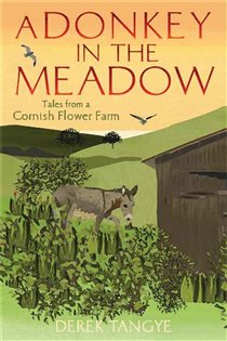 Book cover: A Donkey in the Meadow (Book 6 of Minack Chronicles) by Derek Tangye (preview)