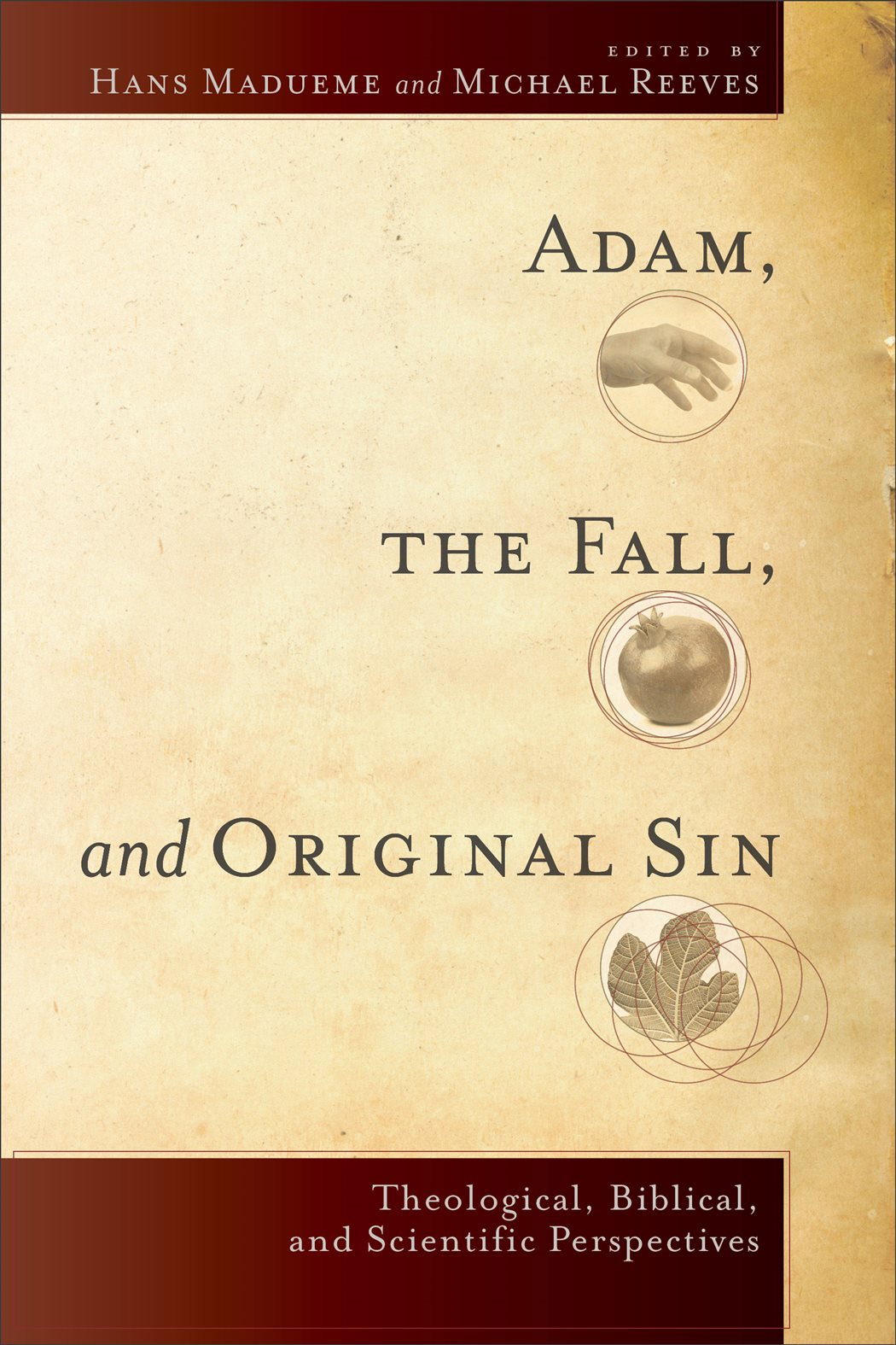 Adam, the Fall, and Original Sin by Michael R. E. Reeves (ebook)