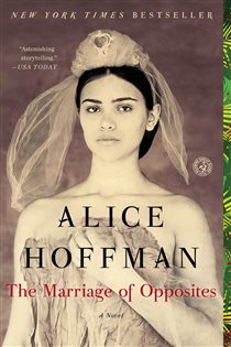 Book cover: The Marriage of Opposites, by Alice Hoffman (preview)