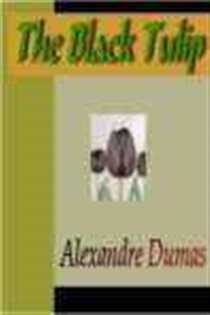 Book cover: The Black Tulip, by Alexandre Dumas (preview)
