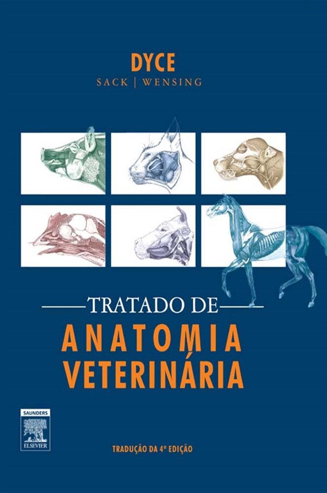 Anatomía visual data 7