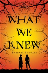 What We Knew: A Novel