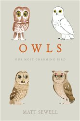 Book cover: Owls, by Matt Sewell (preview)