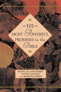 Book cover: 101 Most Powerful Promises in the Bible, by Steven Rabey (preview)