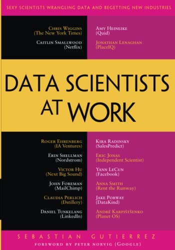 Data Scientists at Work