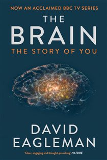 Book cover: The Brain, by David Eagleman (preview)