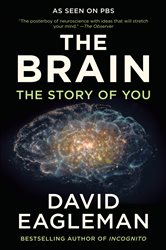 Book cover: The Brain, by David Eagleman (preview)