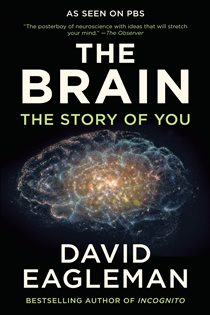 Book cover: The Brain, by David Eagleman (preview)