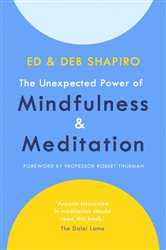 Book cover: The Unexpected Power of Mindfulness and Meditation, by Ed Shapiro (preview)