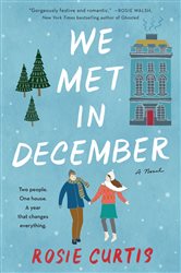 We Met in December: A Novel