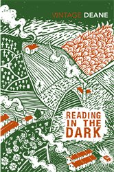 Book cover: Reading in the Dark, by Seamus Deane (preview)